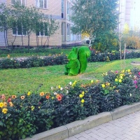 Топ Инстаграма - 07.jpg